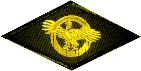 image of Honorable discharge - Ruptured Duck patch